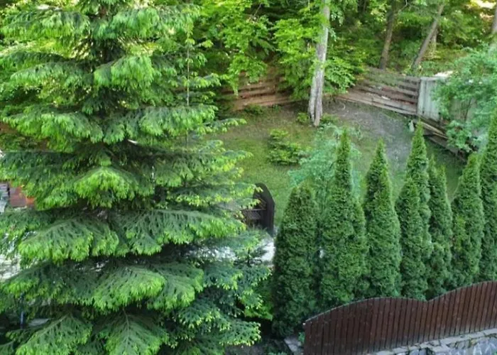 George Apartament Central Cu Gradina Proprie
