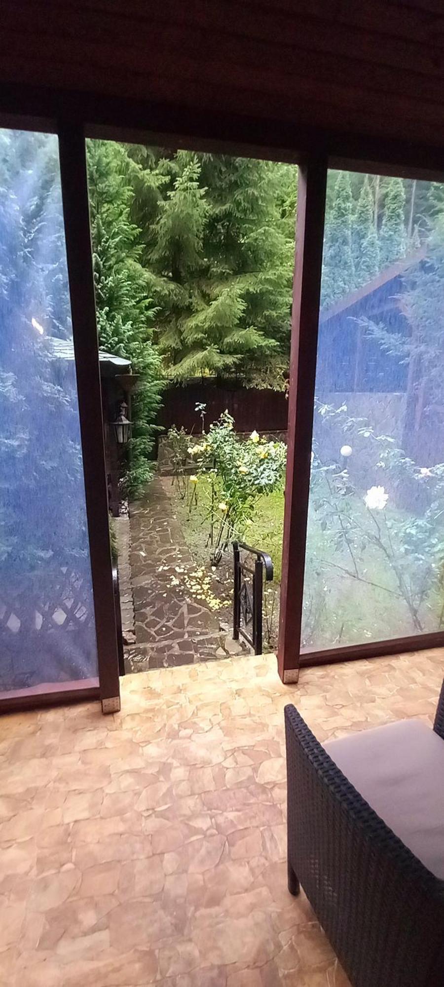 George Cu Gradina Proprie * סינאיה