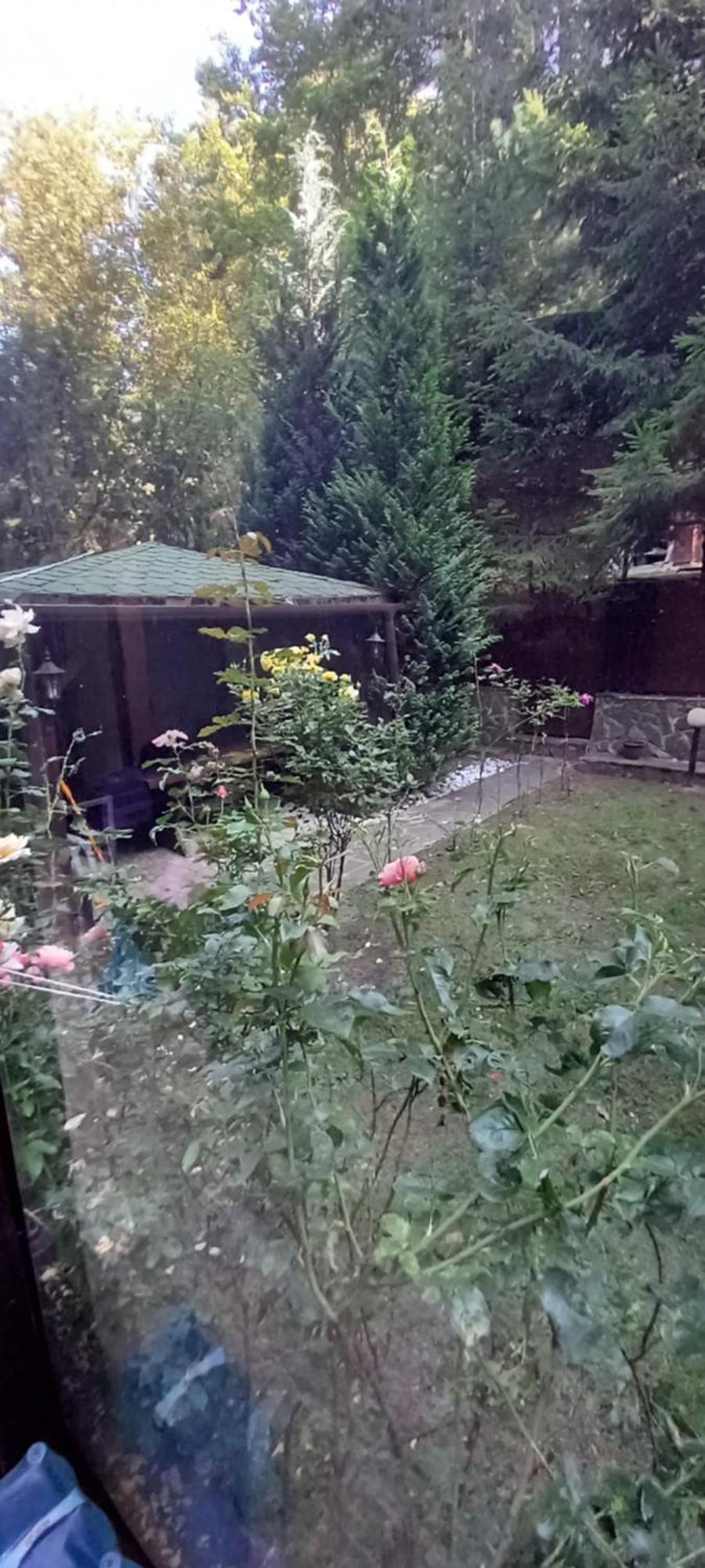 George Cu Gradina Proprie *