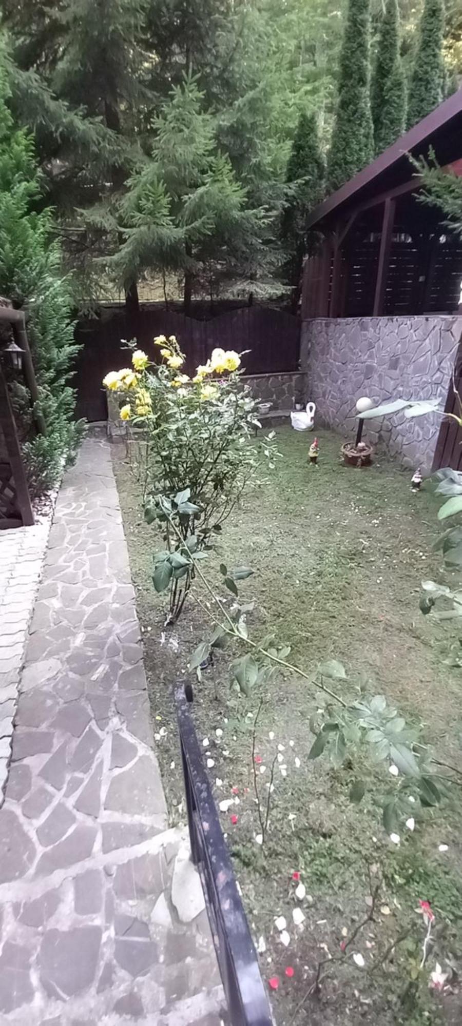 George Cu Gradina Proprie דירה *